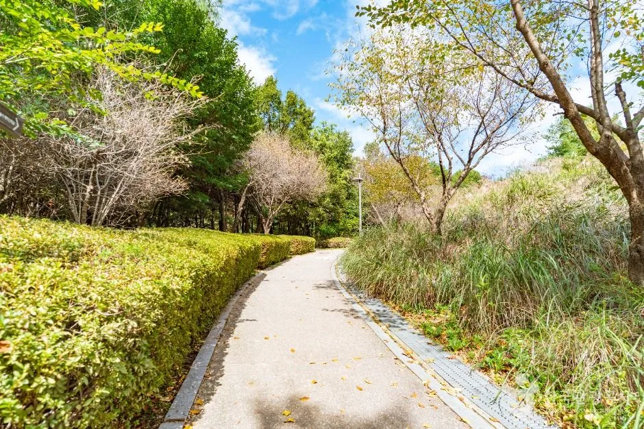 서울_봉화산근린공원 (3)