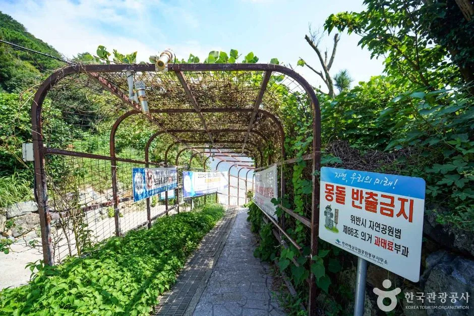 함목몽돌해변 (6)