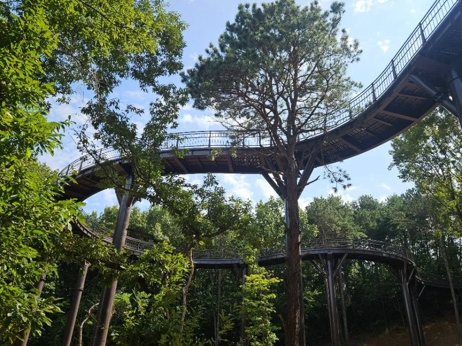 안성_금광호수 (12)