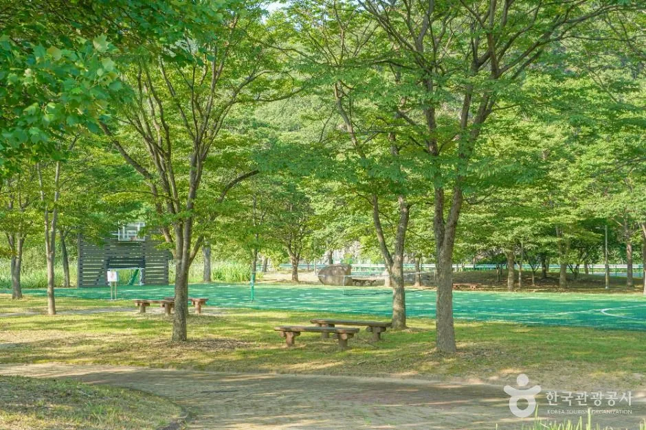 밀양_밀양댐 생태공원 (4)