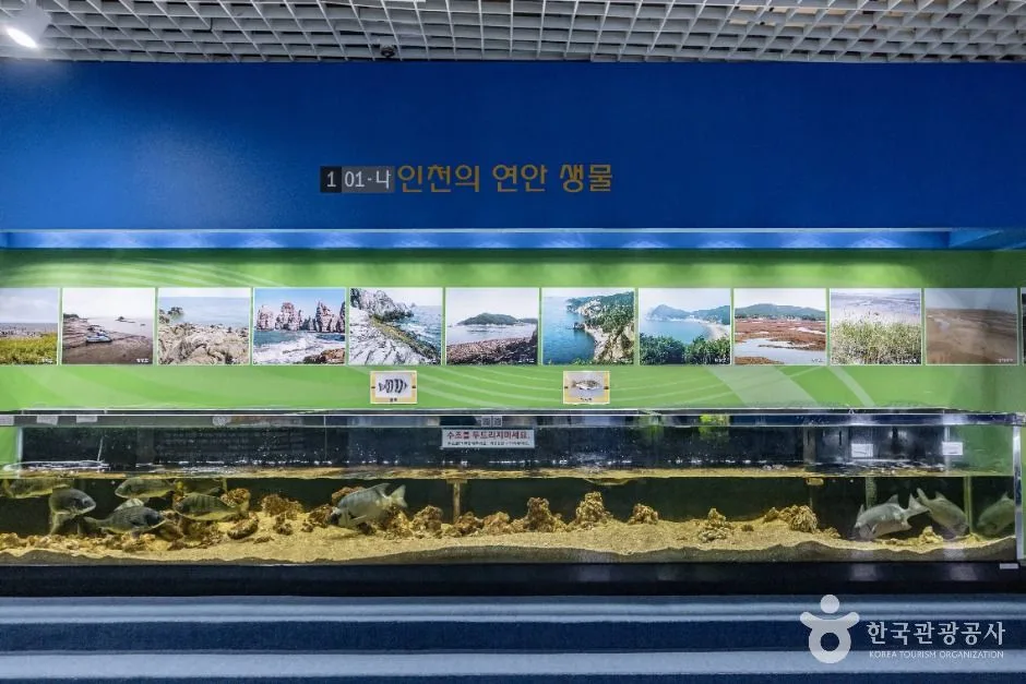 인천_인천학생과학관 (18)
