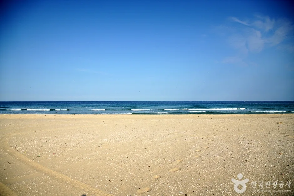 노봉해변 (4)