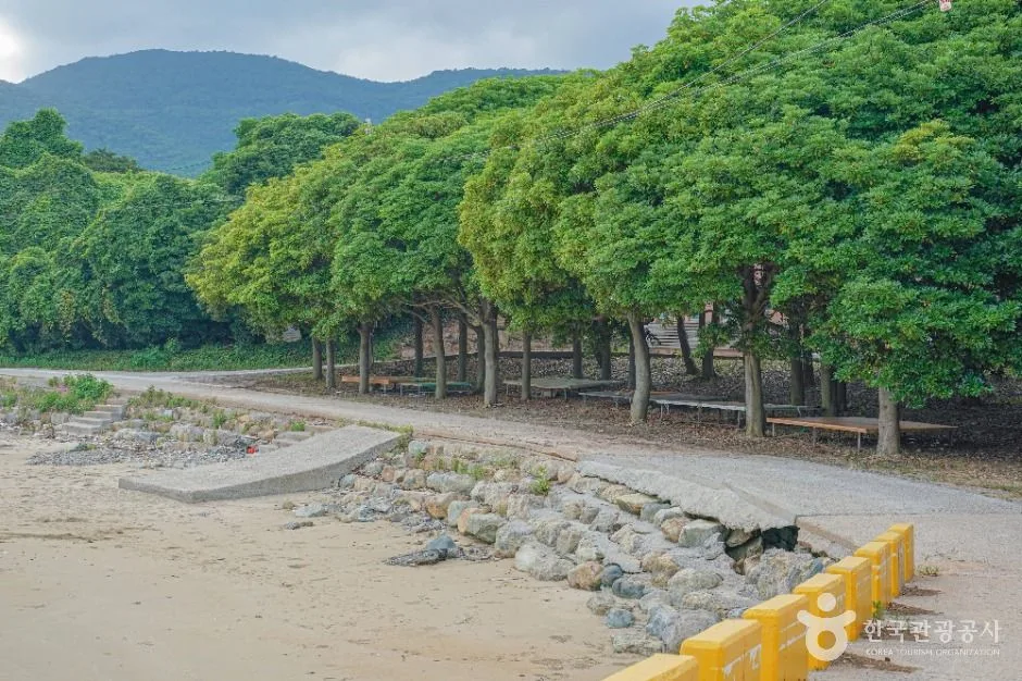 고흥_남성리해수욕장 (6)