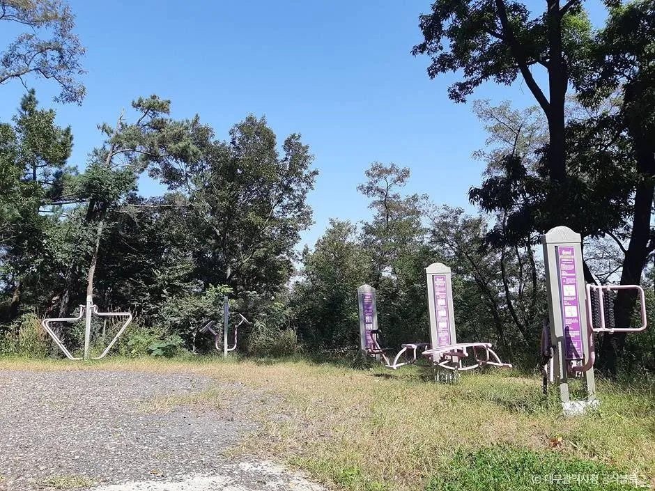 대구_마천산산림욕장 (2)