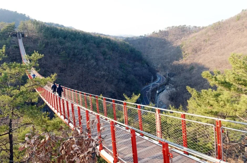 파주_감악산 출렁다리 (5)