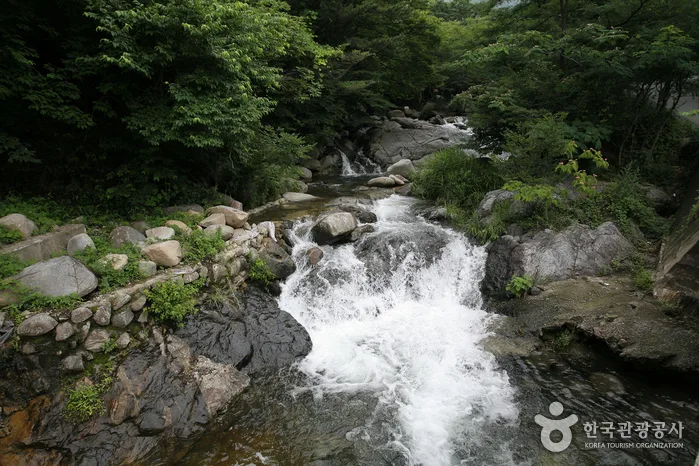 성흥사계곡(자연발생유원지)