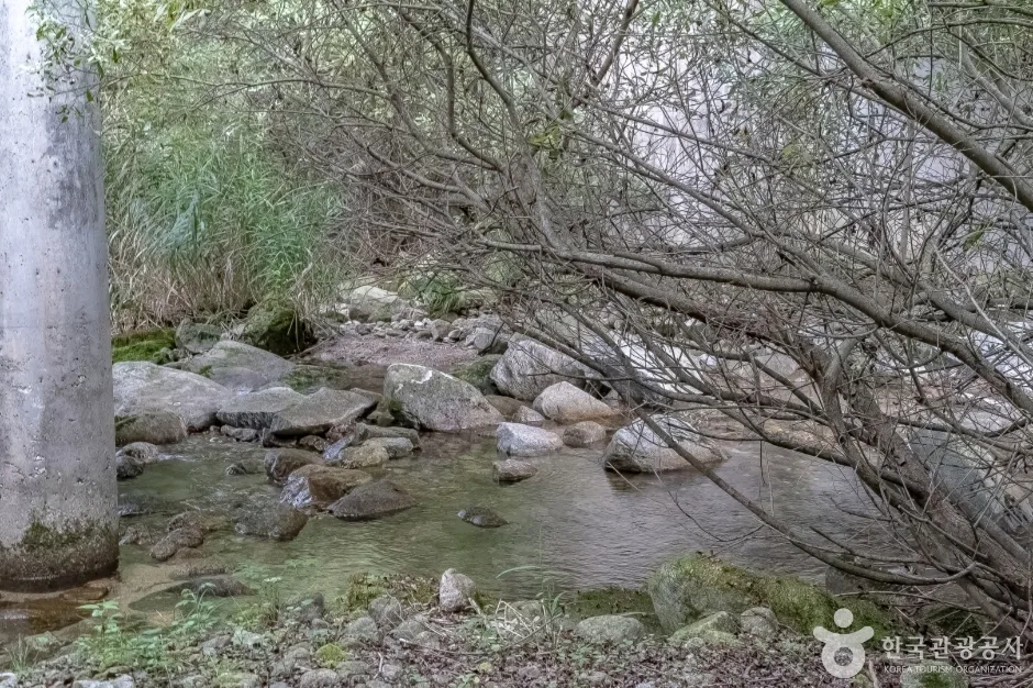 상해계곡18