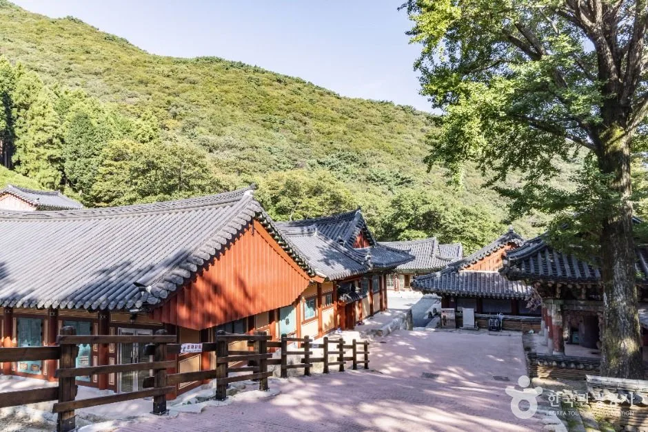 남해_용문사(남해) (3)