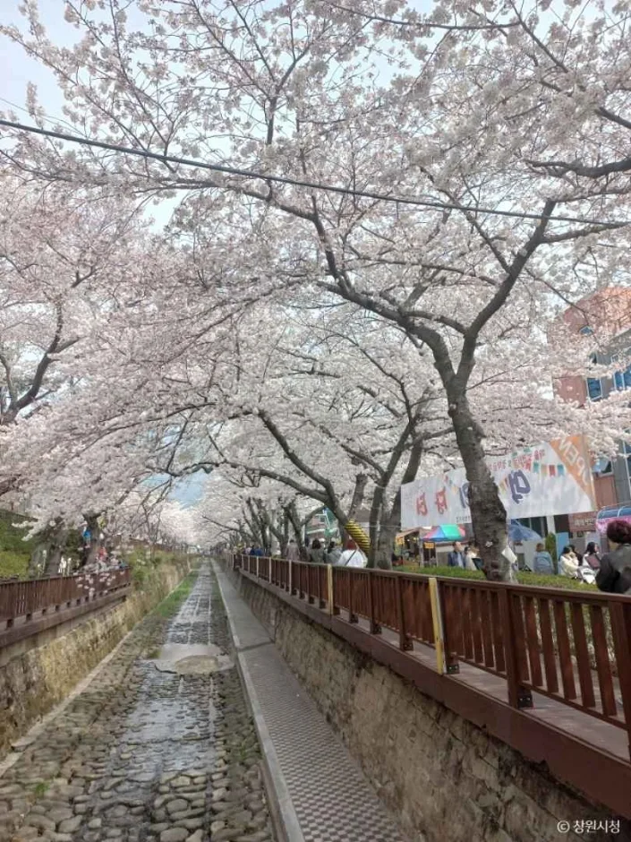 창원_봉암수원지 (11)