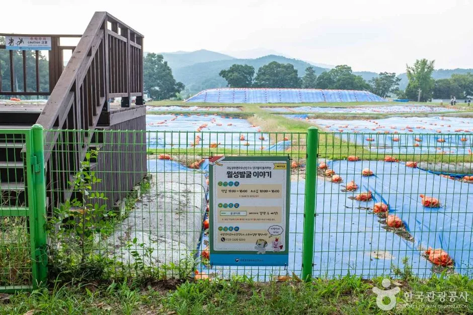 경주_월성이랑 (7)