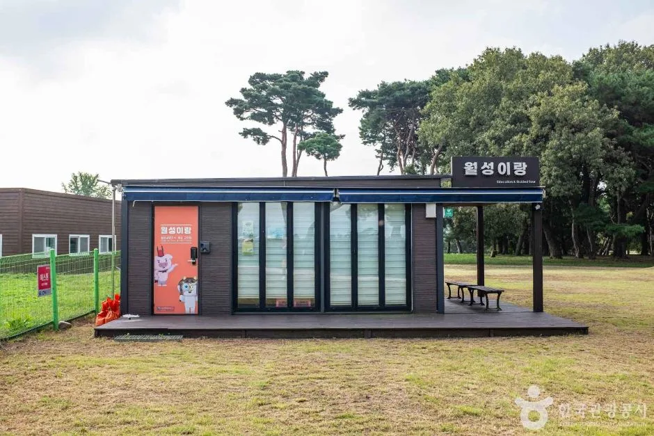 경주_월성이랑 (4)