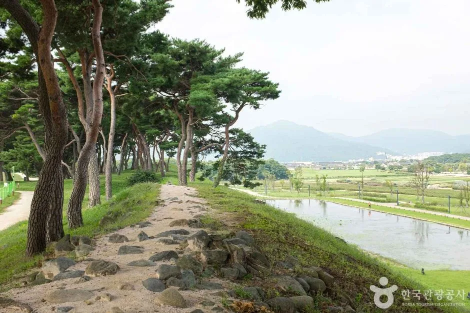 경주_월성이랑 (3)