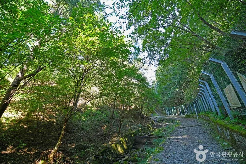 강원_화천_낭천산림욕장 (5)