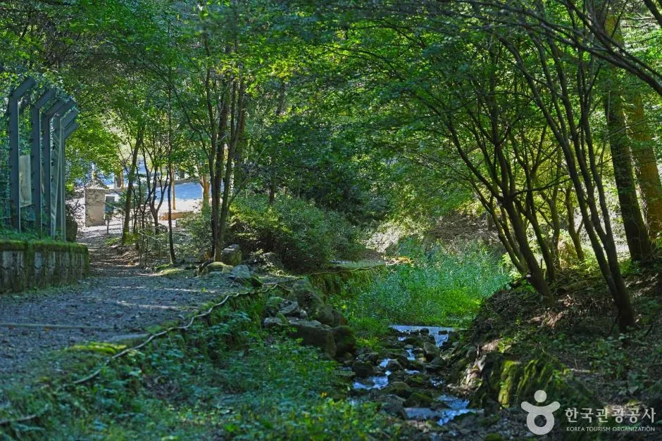강원_화천_낭천산림욕장 (6)