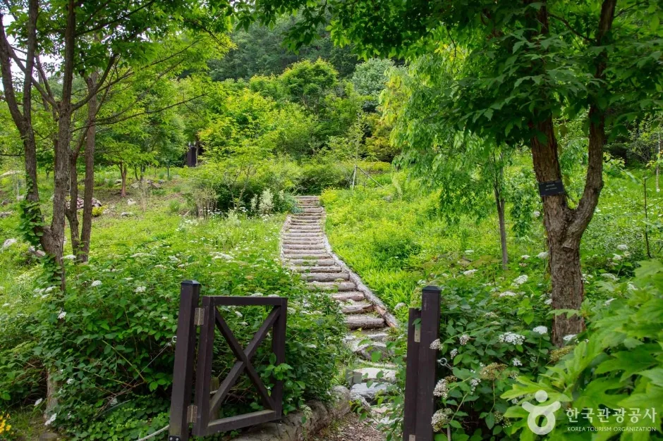 [크기변환]춘천_제이드가든 (2)