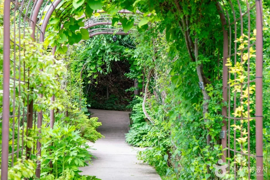 강원_춘천_제이드가든_외부_7.jpg