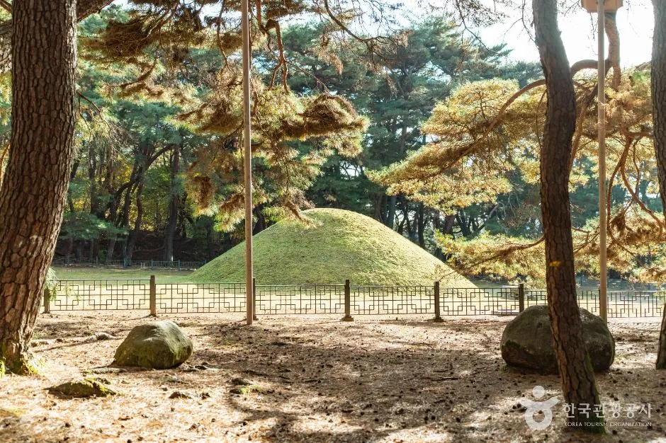 경주_경주 경애왕릉 (1)