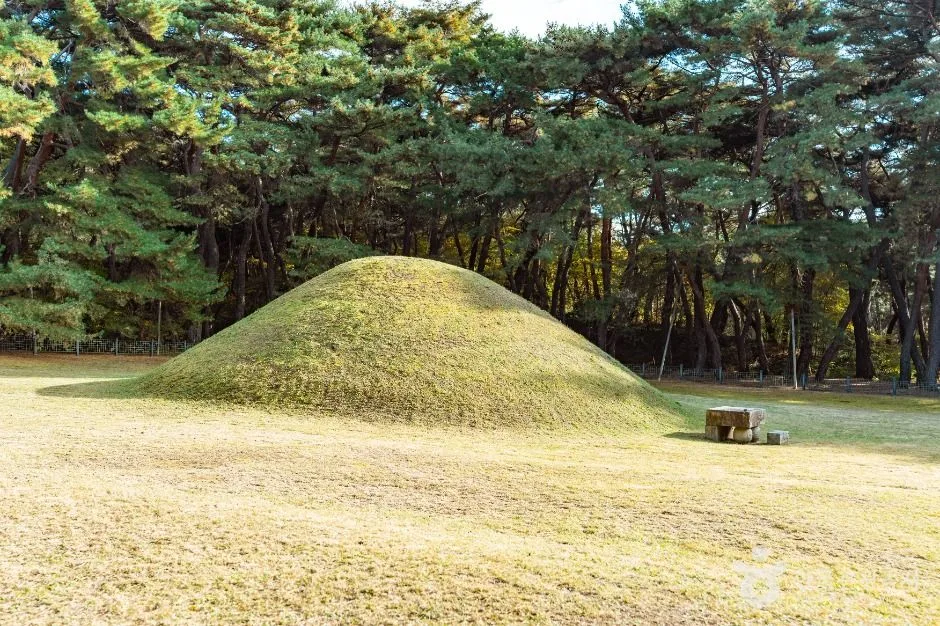 경주_경주 경애왕릉 (2)