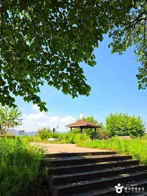 충북_제천_수도산도시숲_외부_4.jpg