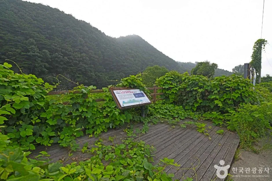 운교리 삼각주 퇴적층 (1)