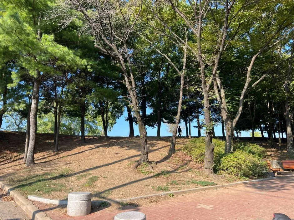 경북_경산_조영임당고분군_외부_1.jpg