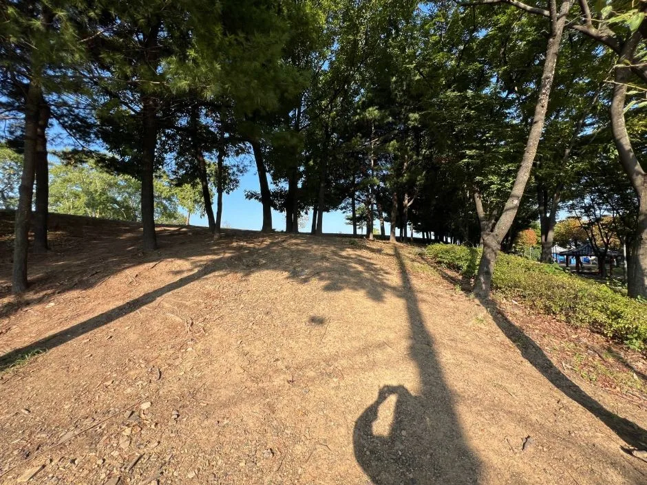 대구 근교 경산 가볼만한곳_경산 임당동과 조영동 고분군_3-6