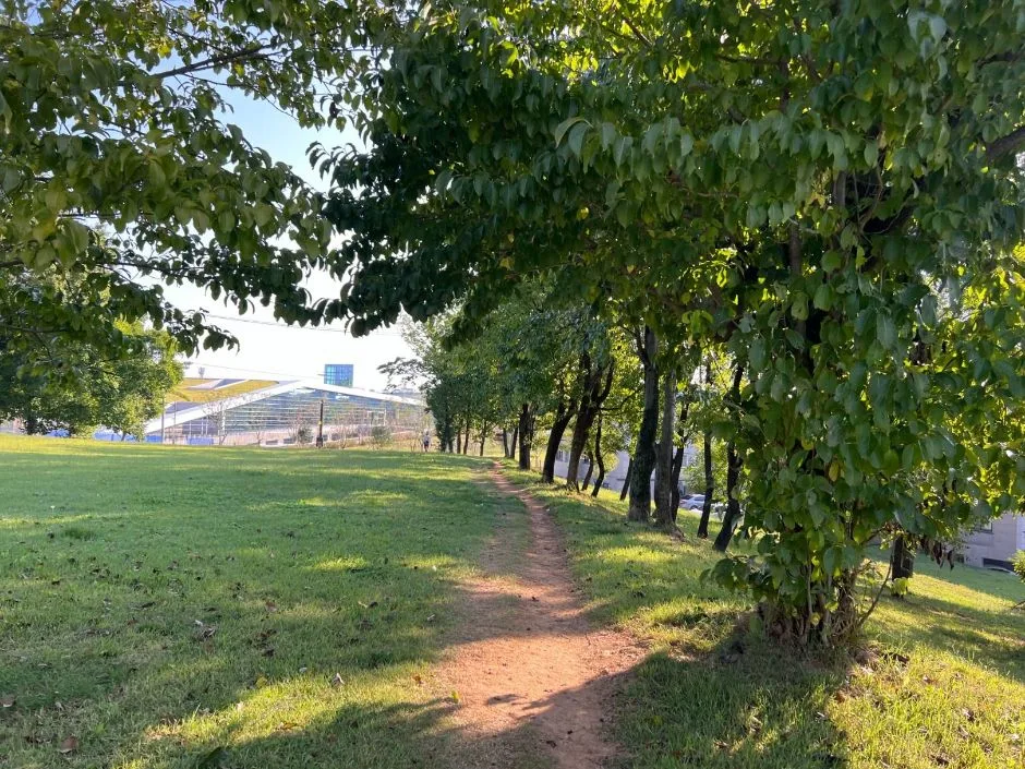 대구 근교 경산 가볼만한곳_경산 임당동과 조영동 고분군_3-2
