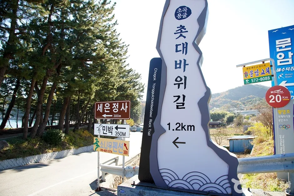초곡해수욕장 (6)