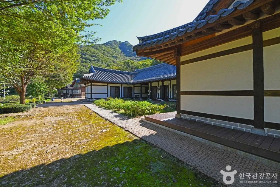 강원_화천_화천 산약초 마을 (2)