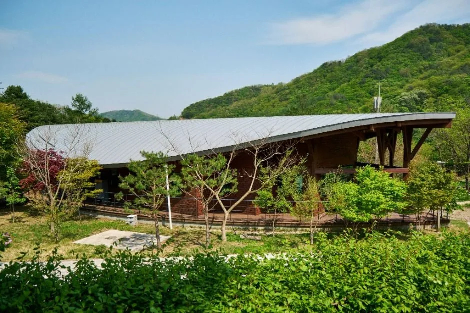 화천_산약초 마을 (2)