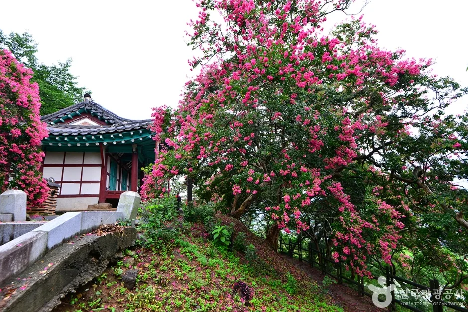 전남_장성_요월정원림 (11)