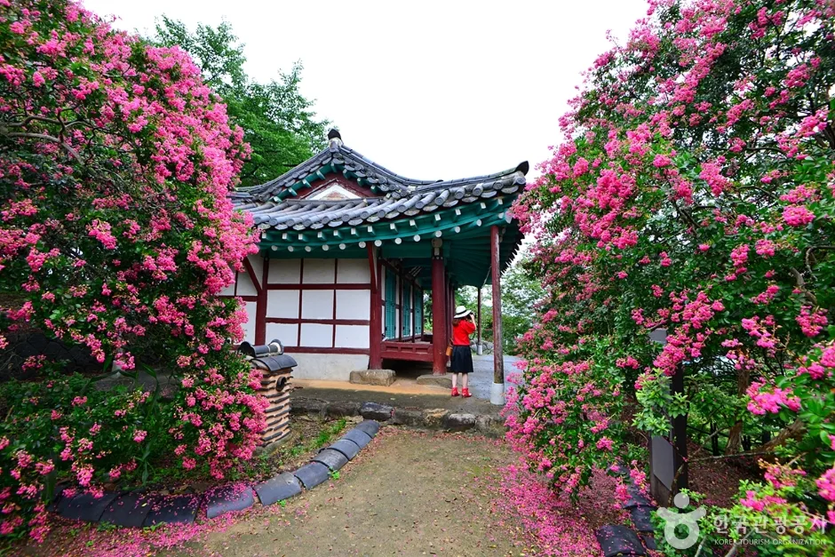 전남_장성_요월정원림 (15)