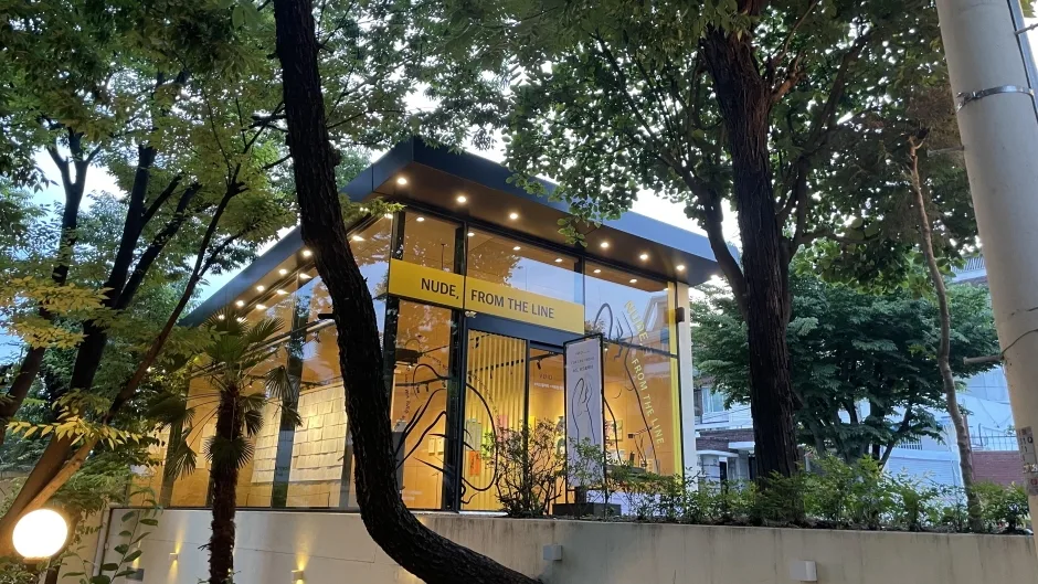 대구_중구_보이드 갤러리 (2).jpg