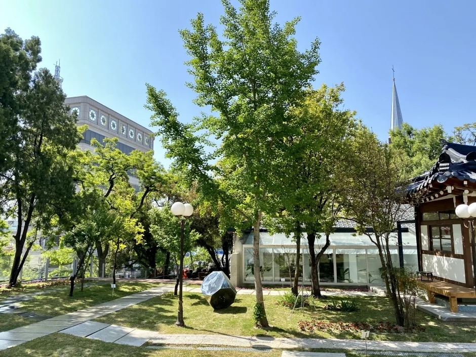 대구_중구_보이드 갤러리 (5).jpg