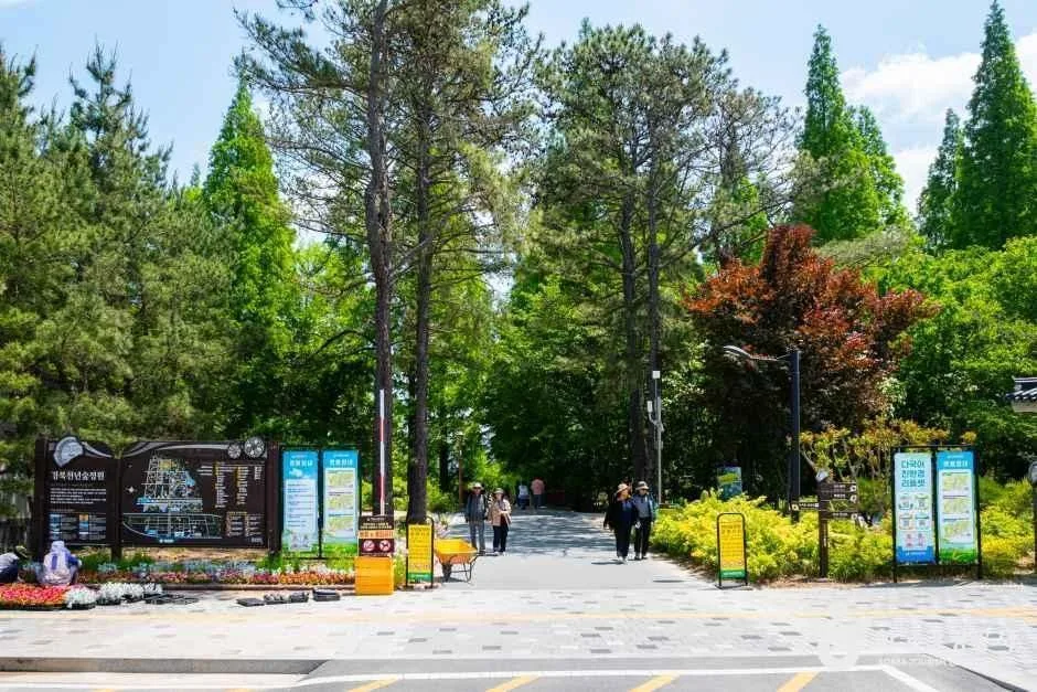 경북천년숲정원 (1).jpg