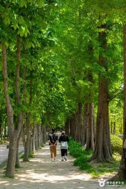 경북천년숲정원 (3).jpg