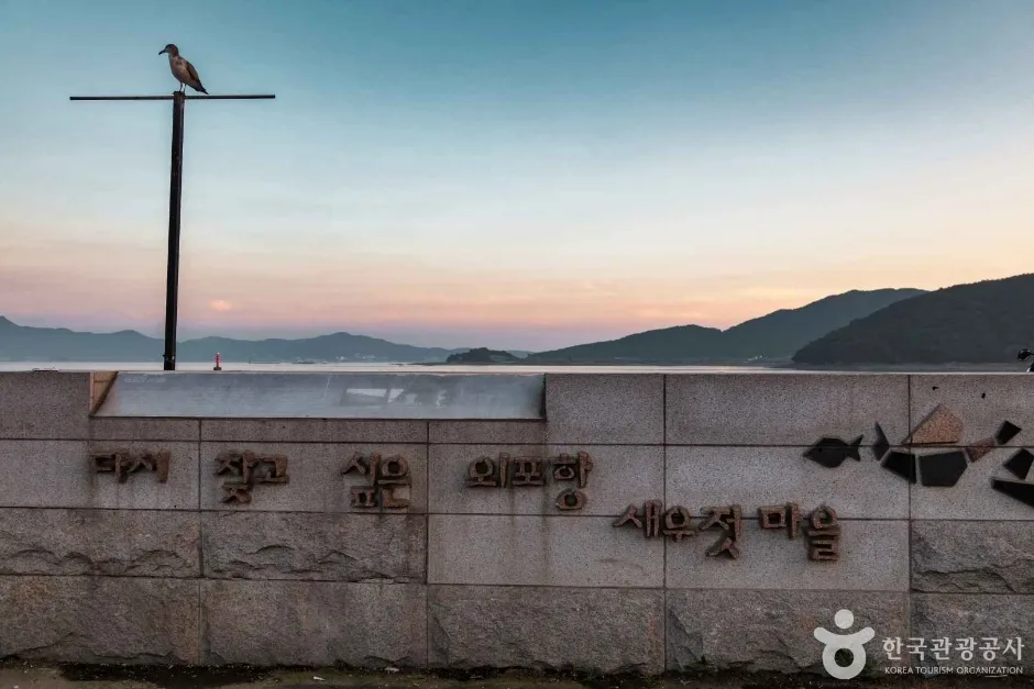 외포리선착장 (7)