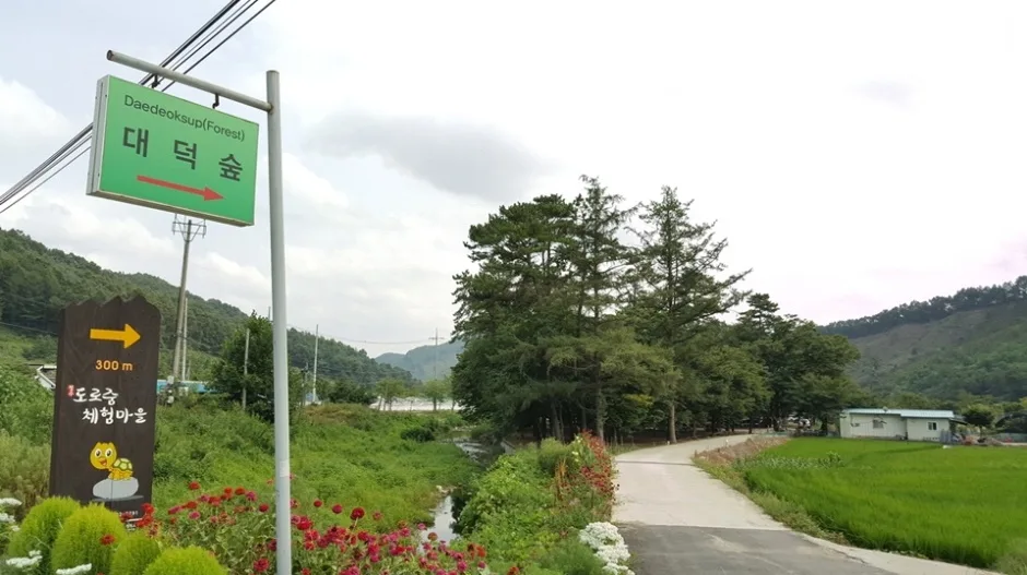 충북_청주_대덕숲유원지_풍경5