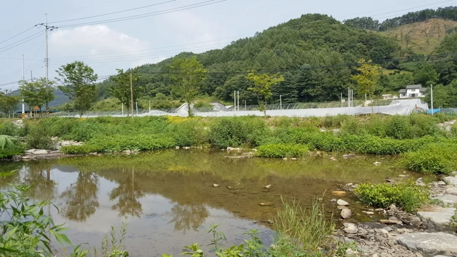 충북_청주_대덕숲유원지_풍경3