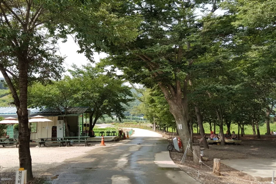 충북_청주_대덕숲유원지_풍경2