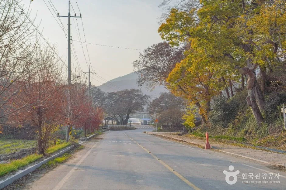 함평_모평마을 (3)