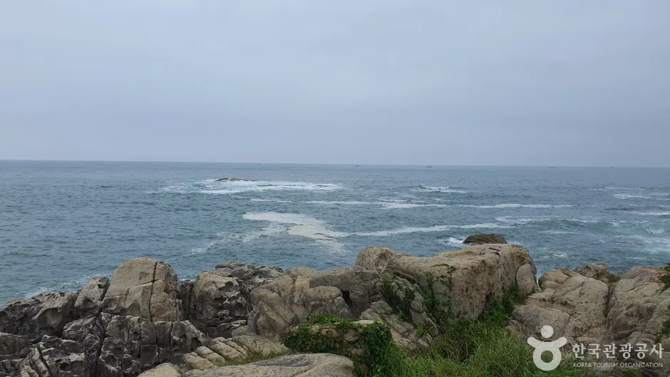 문암2리해변 (8)