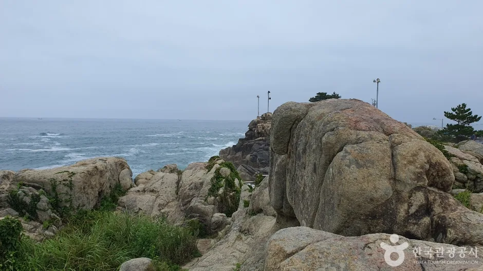 문암2리해변 (4)