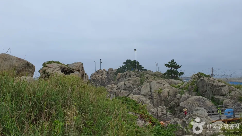 문암2리해변 (5)