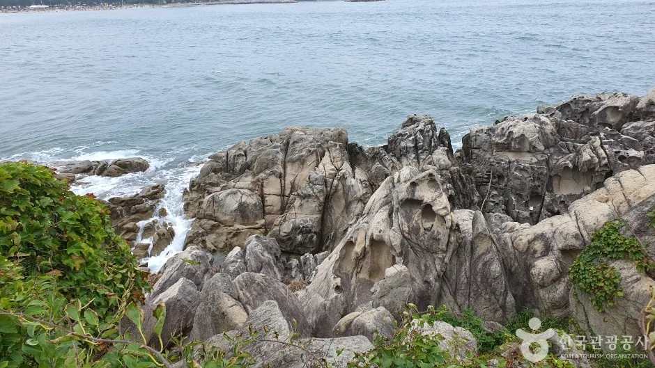 문암2리해변 (10)