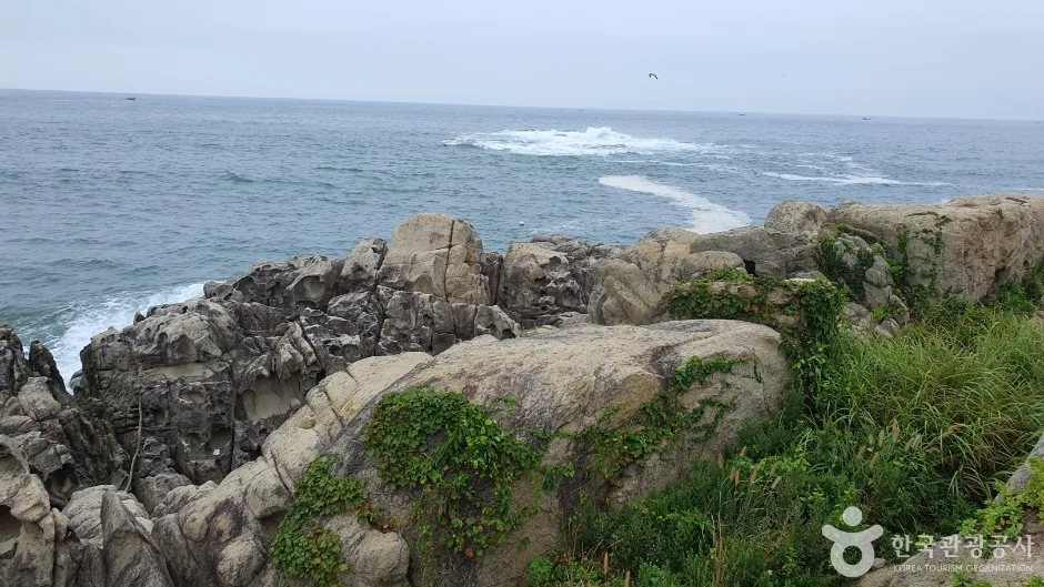 문암2리해변 (12)