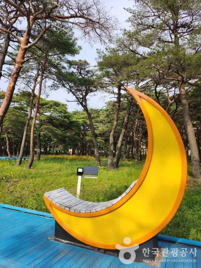 양양_낙산해안로 (1)