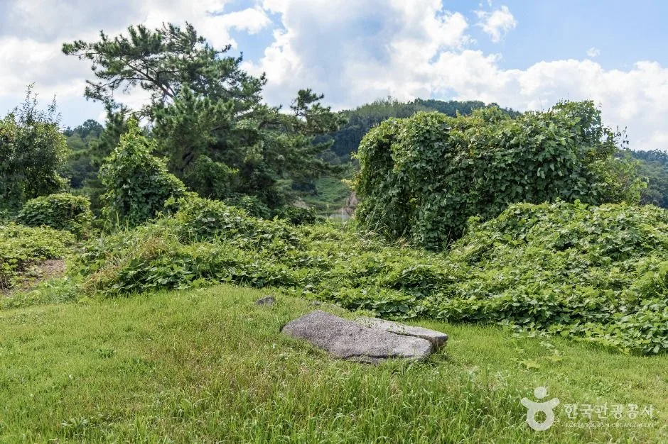 금산_금산 천내리용화리 고인돌 (3)
