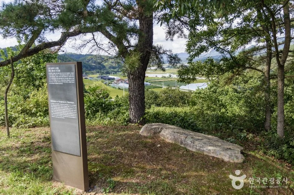 금산_금산 천내리용화리 고인돌 (2)