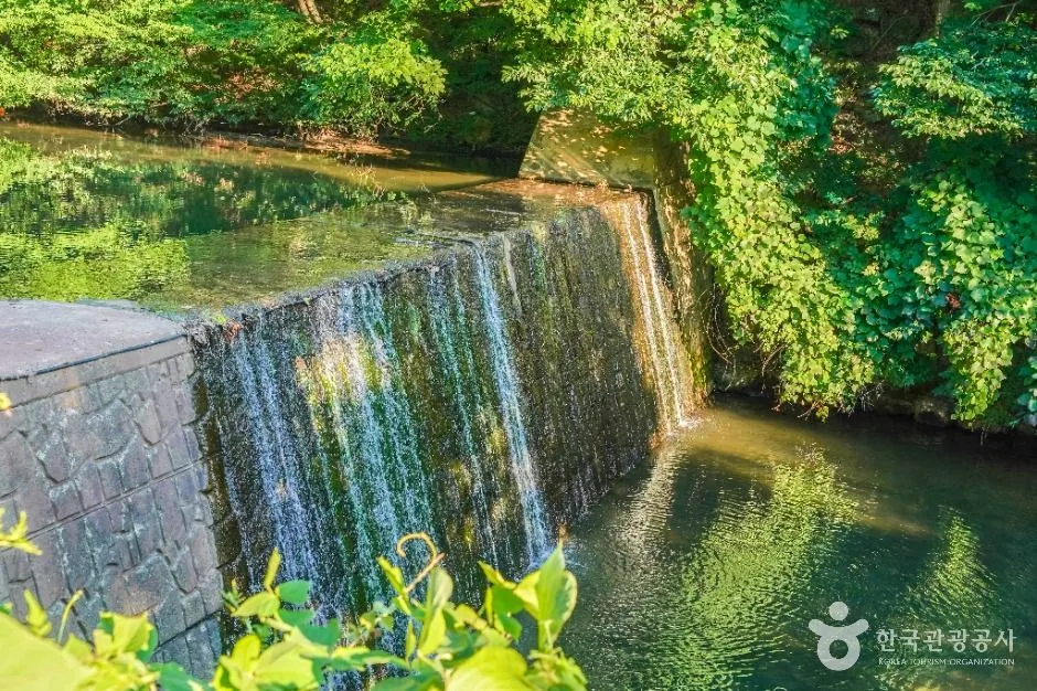 칠곡_금화계곡 (5)